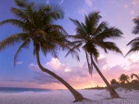 44192_wallpaper280.jpg
