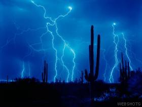 48024_wallpaper280.jpg